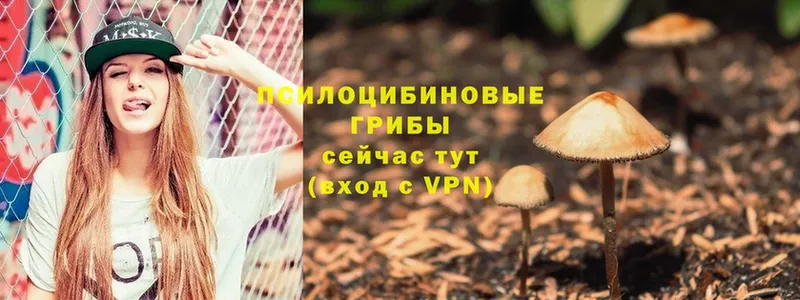 MEGA ссылки  Калачинск  Псилоцибиновые грибы Psilocybe 